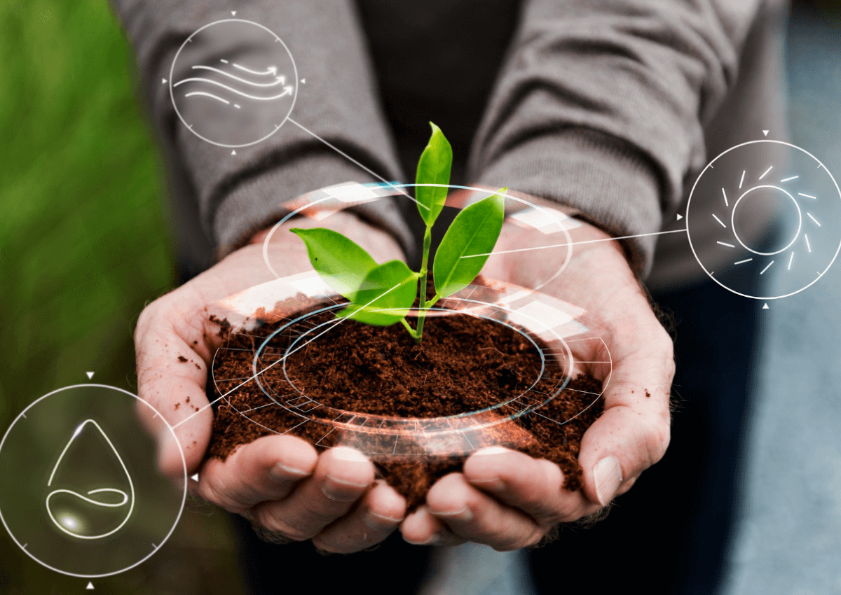 Regenerative Agriculture