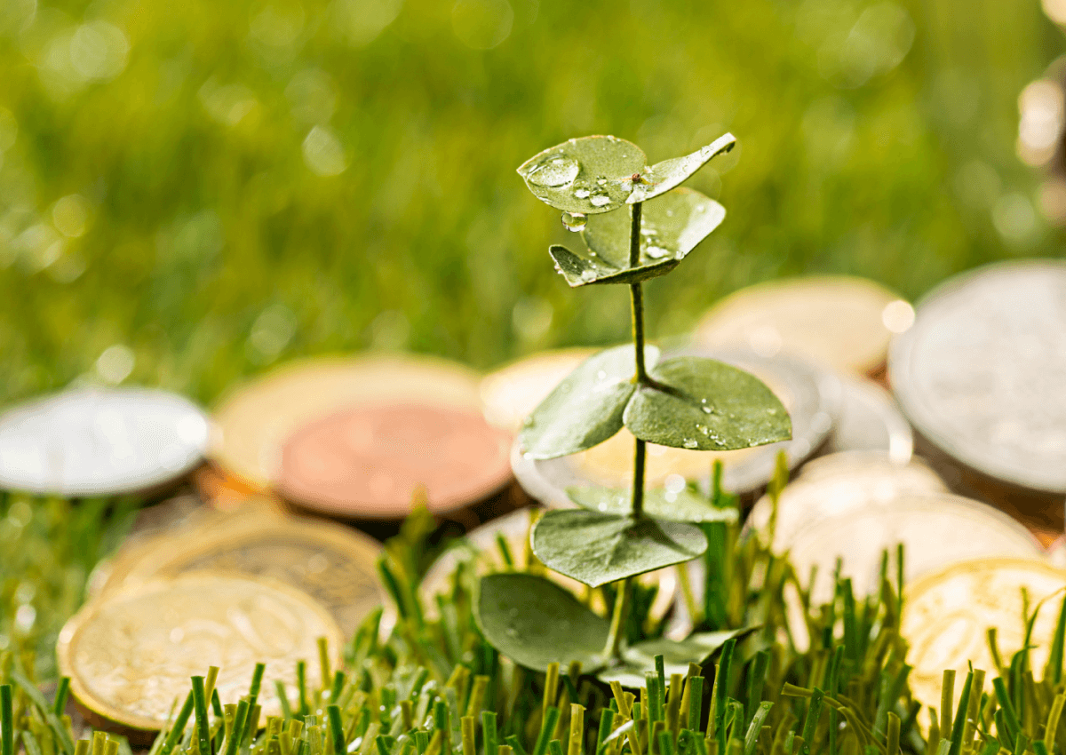 Personal Values and Investments